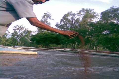 DEVI SEA FOODS